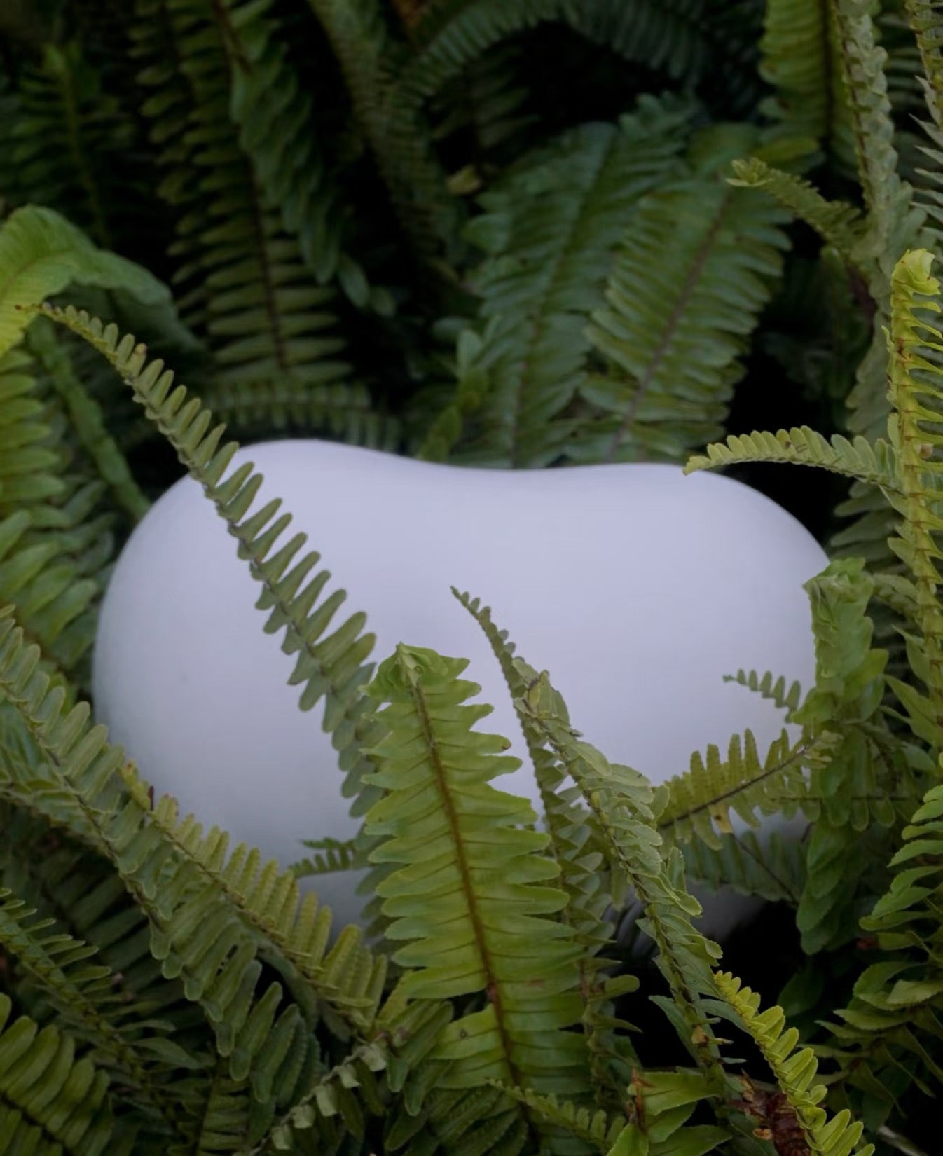 Verdina Biodegradable Pet Seed Urn-Pet Urn for Ashes-Cremation Urns- The cremation urns for ashes and keepsakes for ashes come in a variety of styles to suit most tastes, decor and different volumes of funeral ashes.